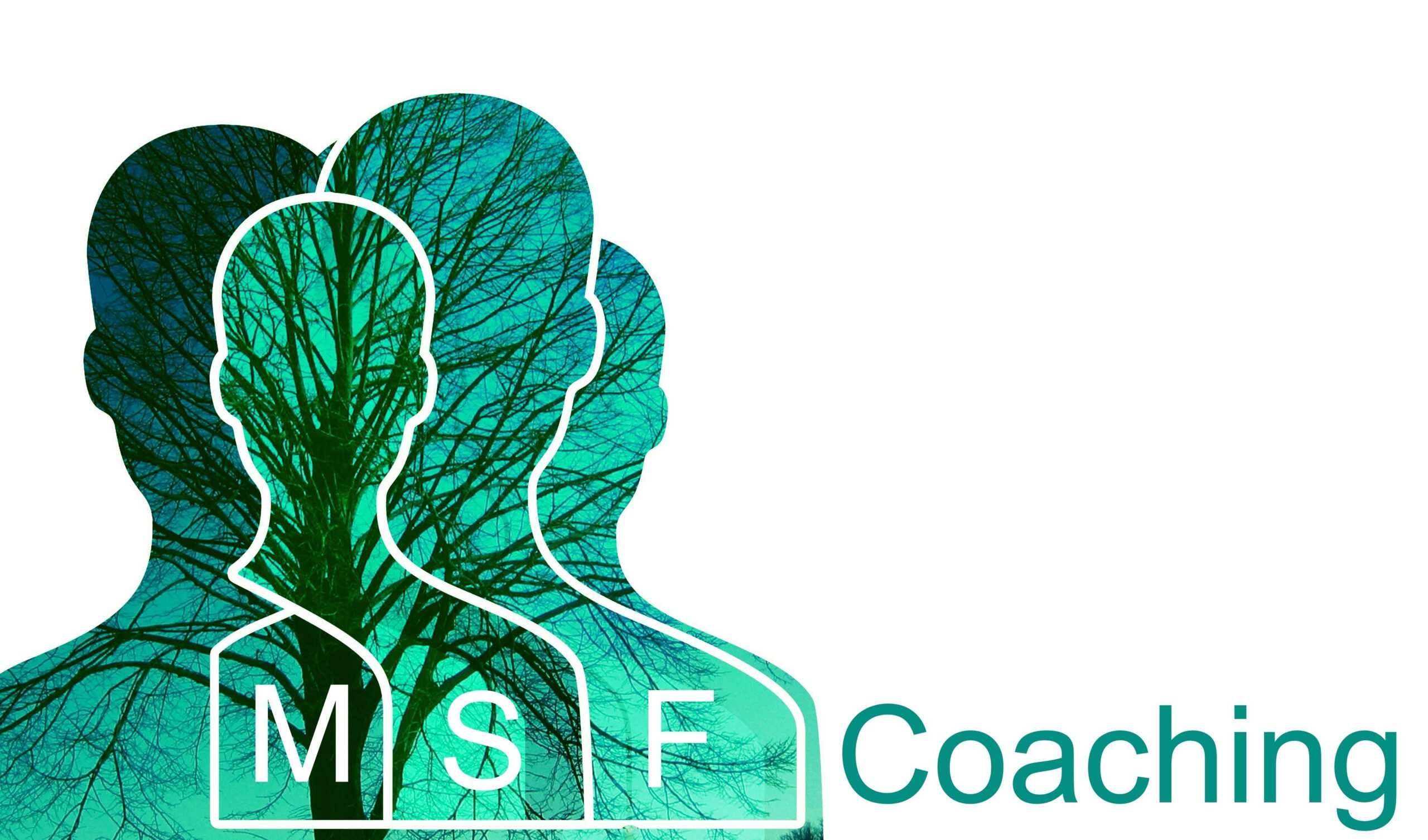 MindSetFred Coaching